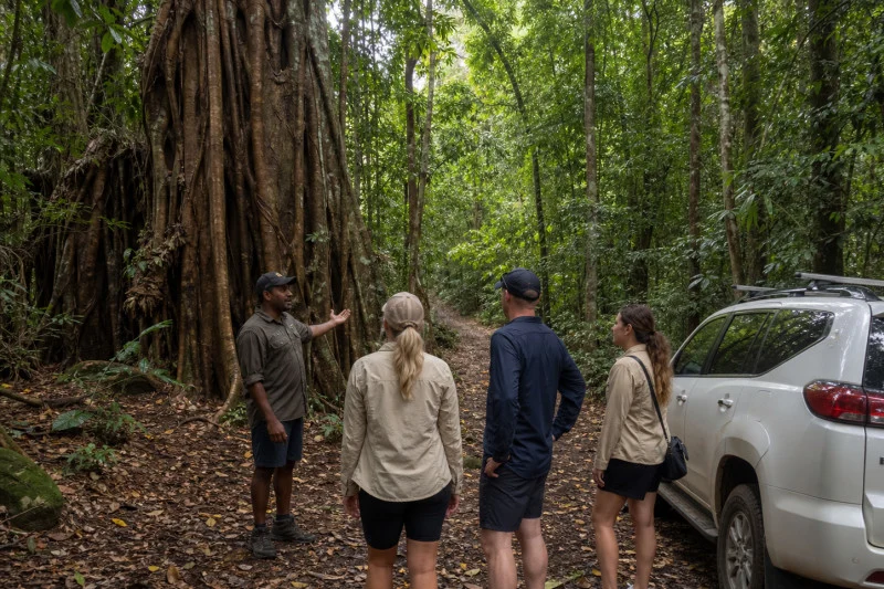 A Yidinji guide speaks beside an enormous rainforest tree while three guests stand near the operator’s four-wheel-drive vehicle