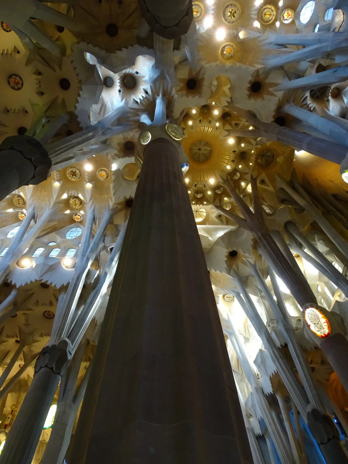 Branching stone columns and luminous vaults rise through the Sagrada Família nave