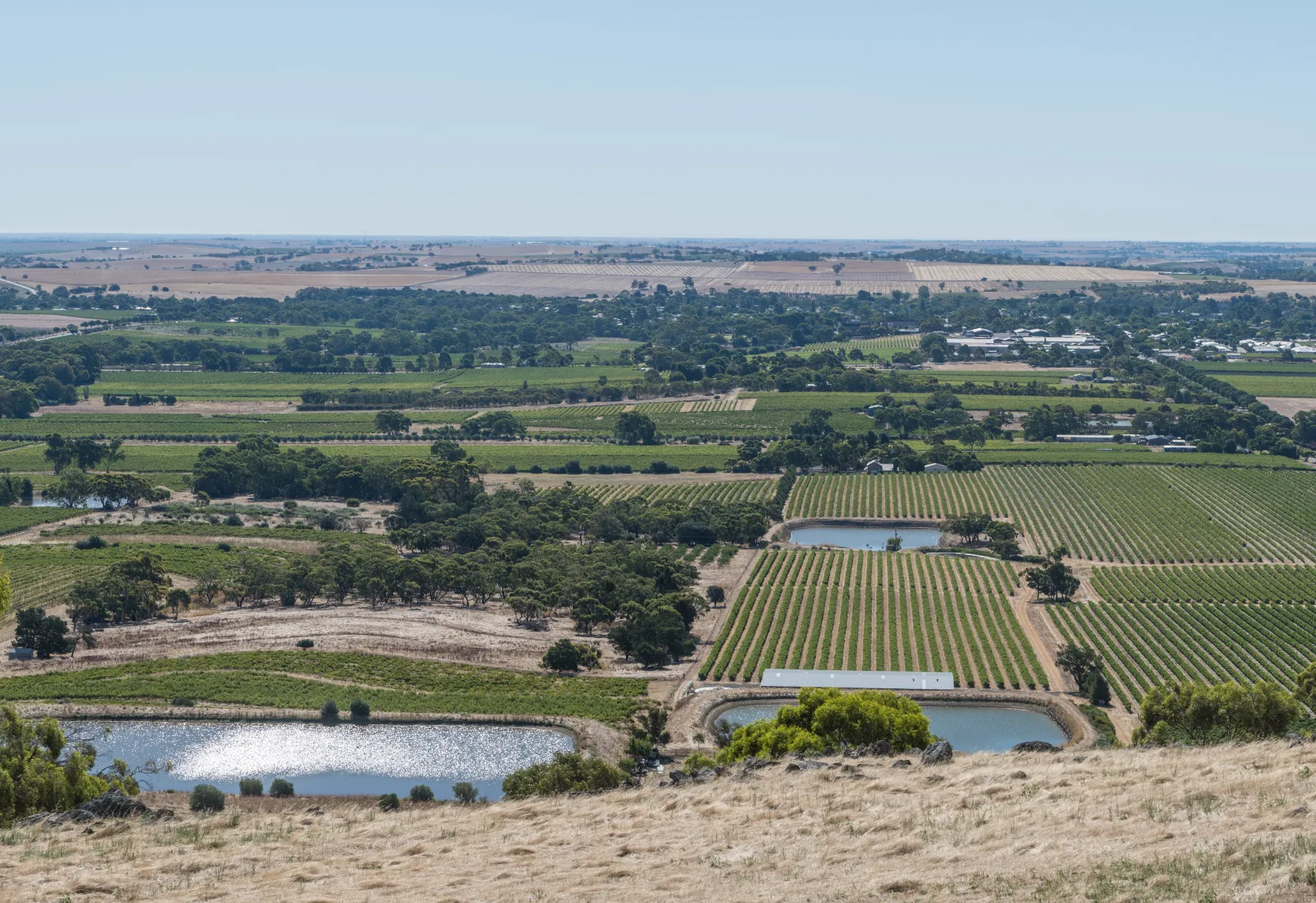 Vineyards, towns, roads and tree corridors spread across the Barossa Valley