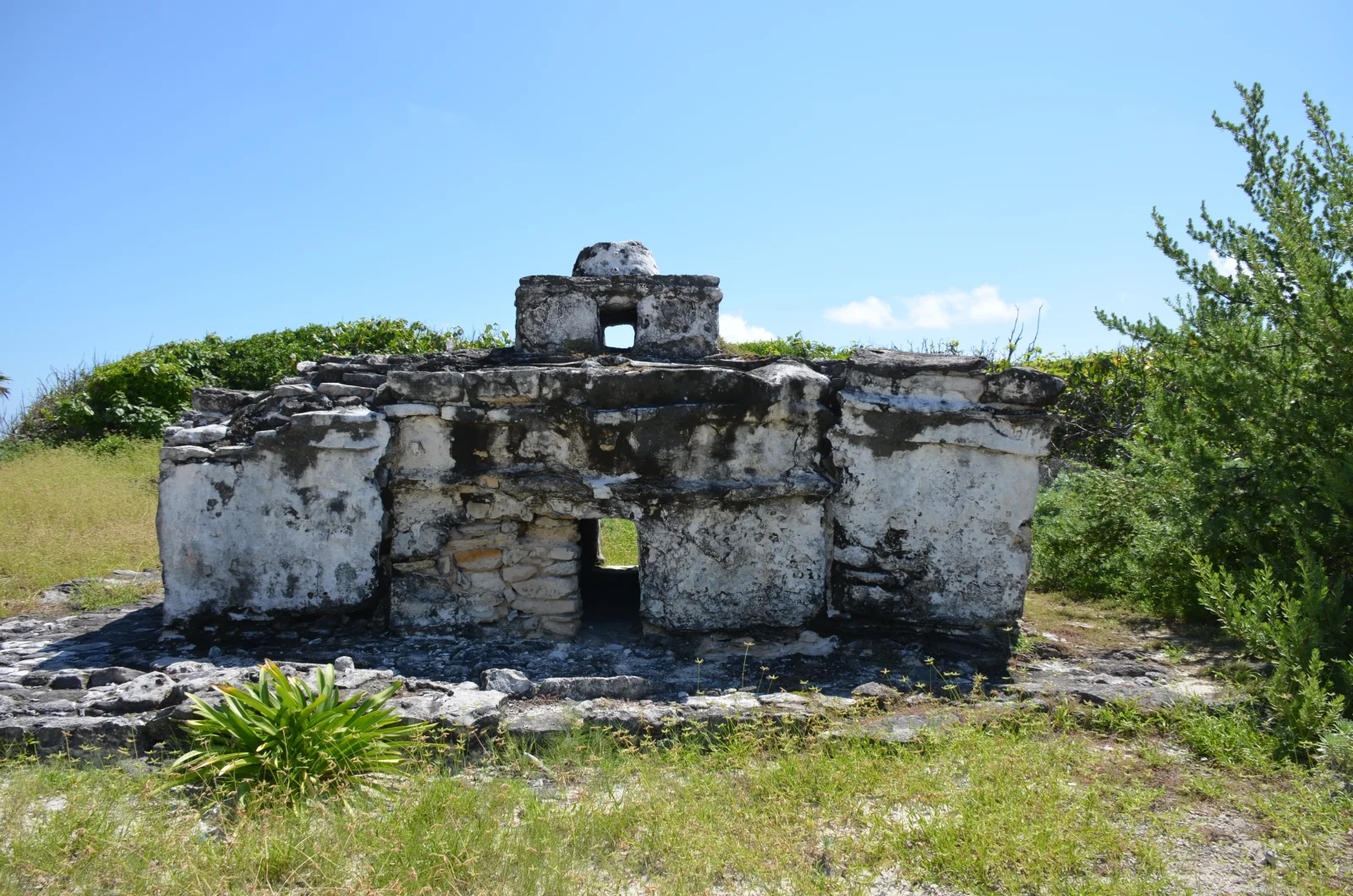 El Caracol stands low against the vegetation at Punta Sur.