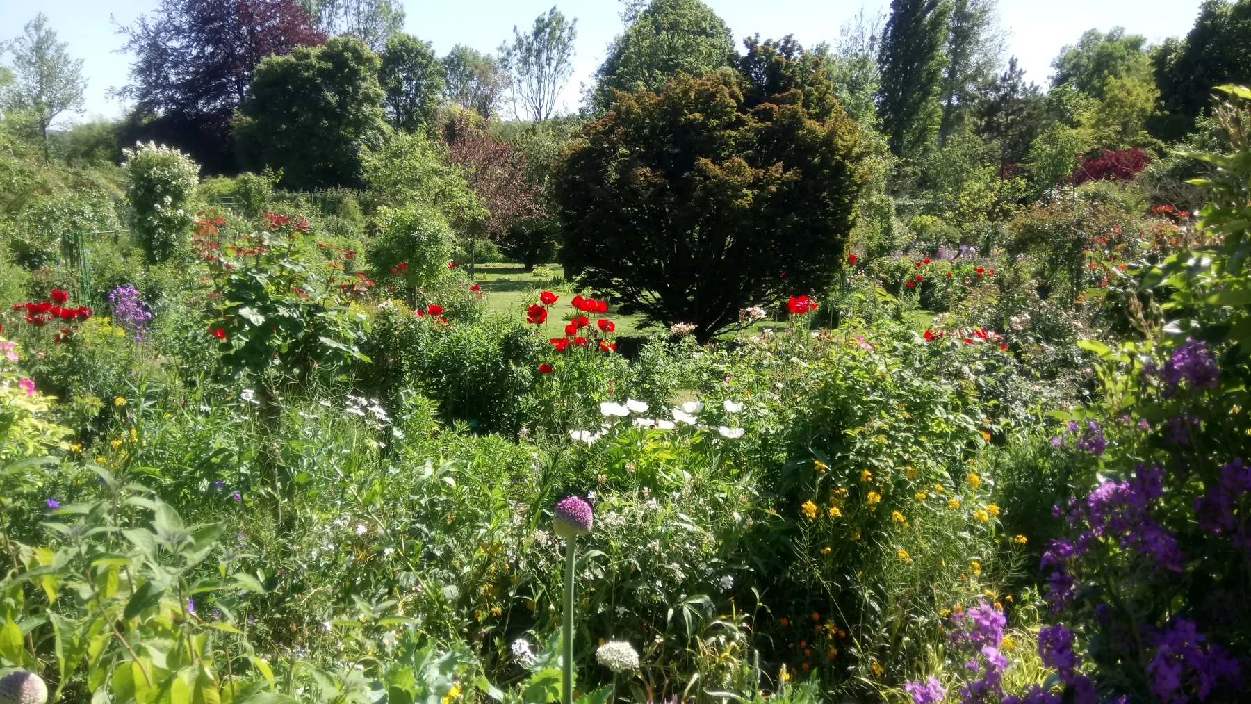 A contemporary wide view of Clos Normand shows layered planting, colour, mature trees and open lawn under active maintenance.
