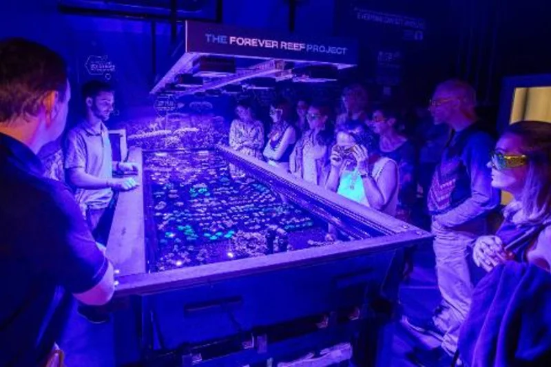 Visitors gather around living coral systems at the Forever Reef facility in Port Douglas.