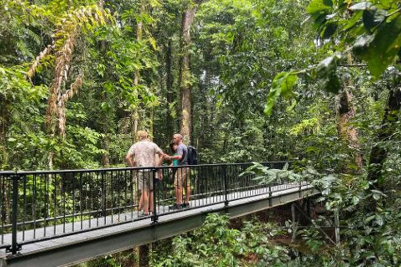 Two visitors stand with a guide on an elevated rainforest boardwalk in exact-product provider media.