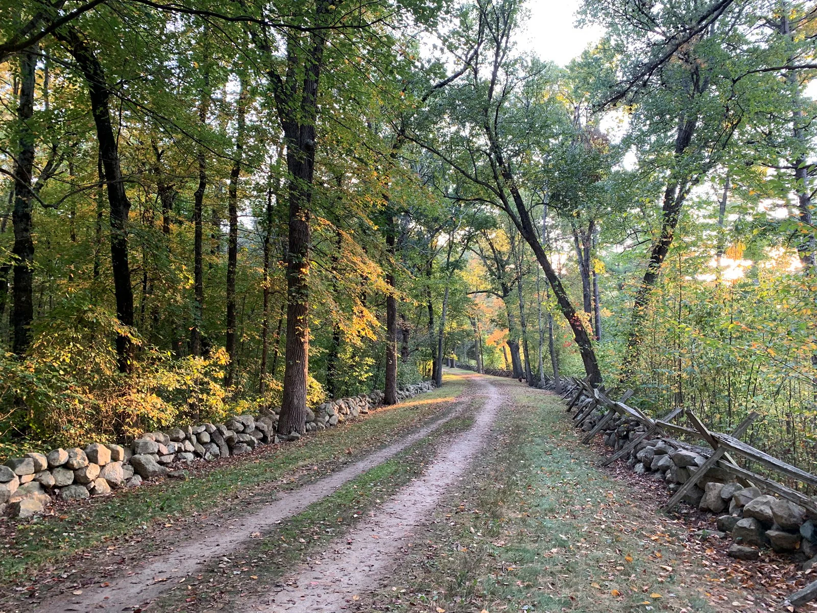 The Battle Road Trail moving through woods between Concord and Lexington.