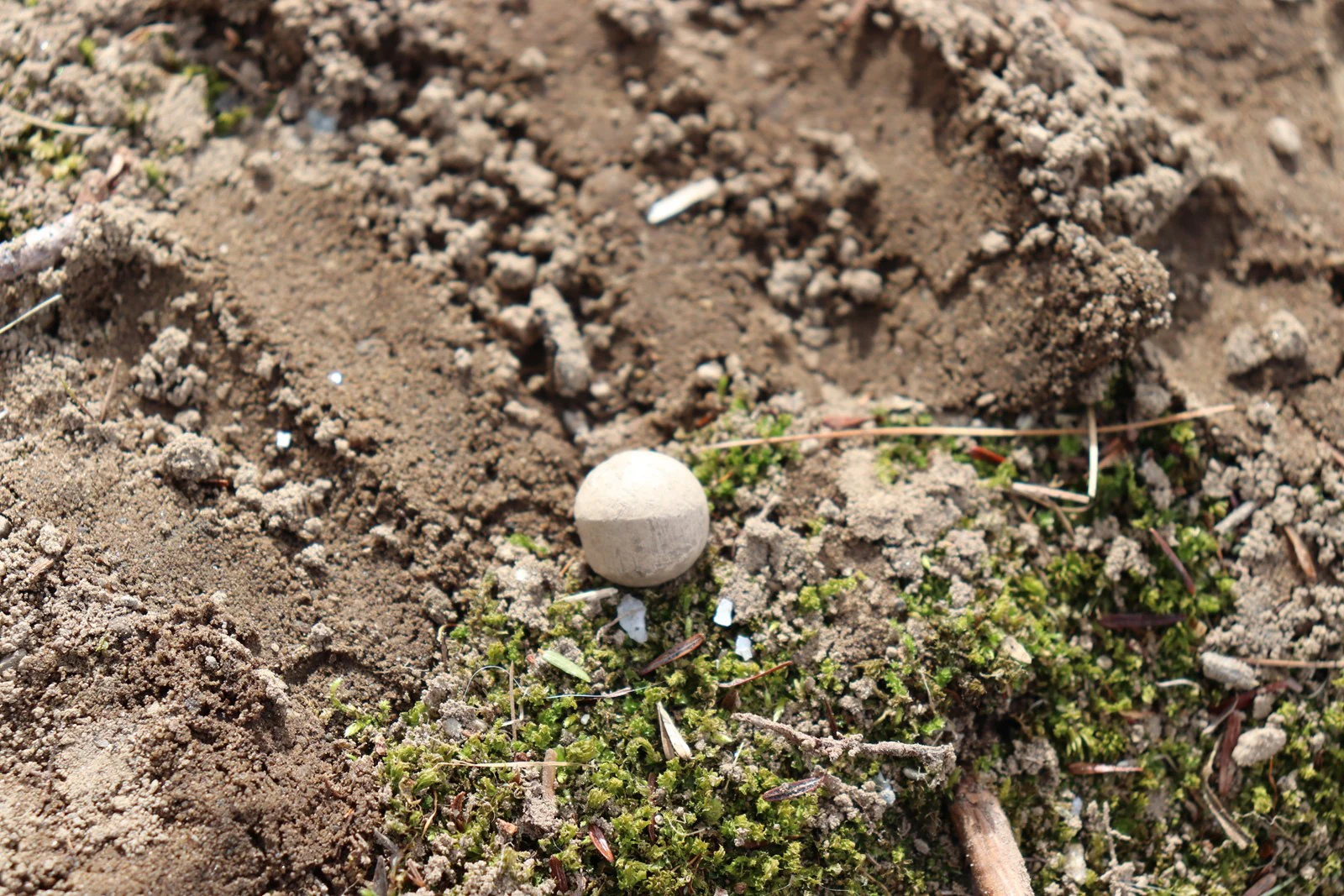 One of five lead musket balls discovered near North Bridge during preservation work.