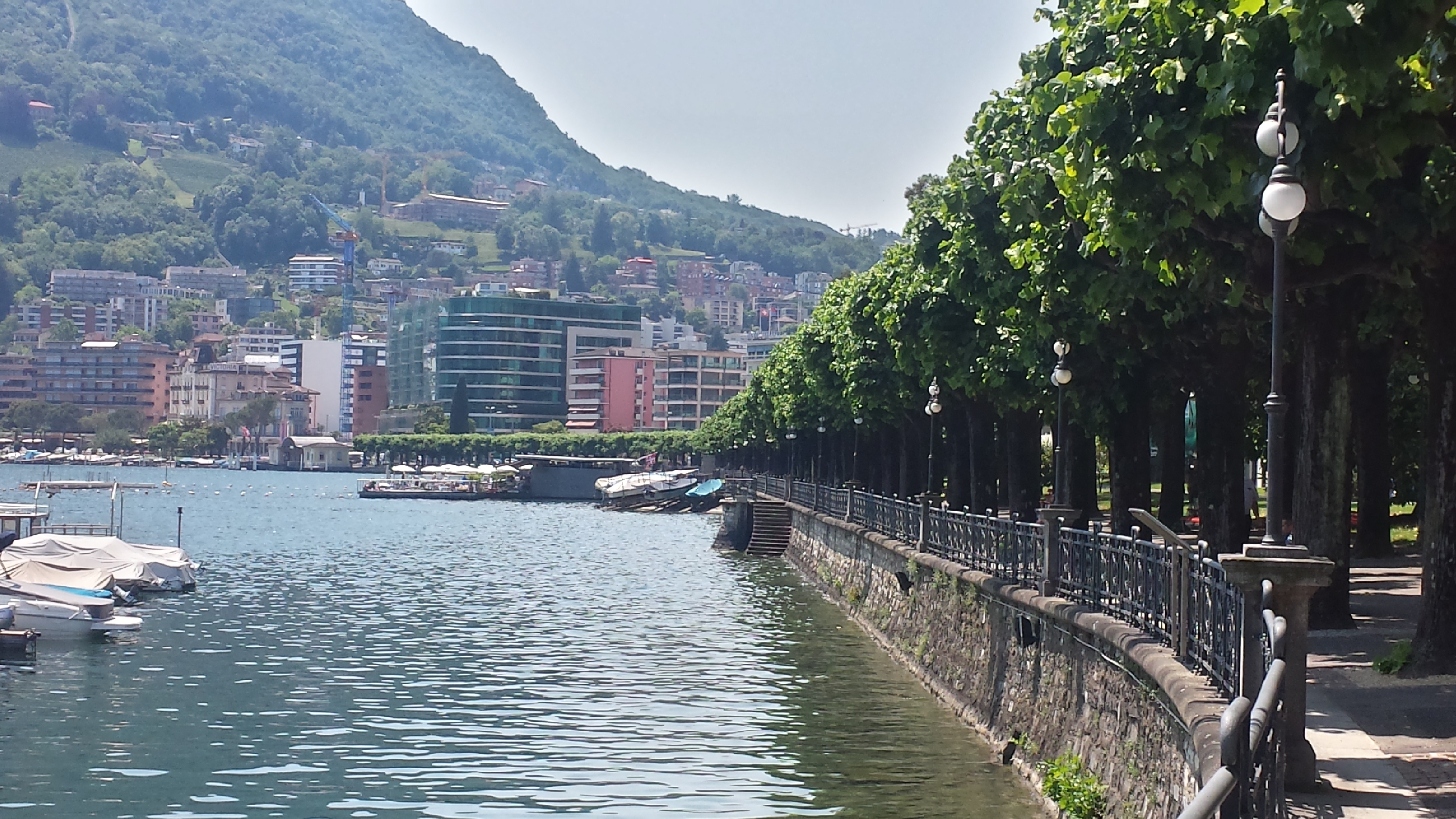 Lugano's waterfront curves past a shaded tree-lined promenade, with the built slope rising directly behind the lake