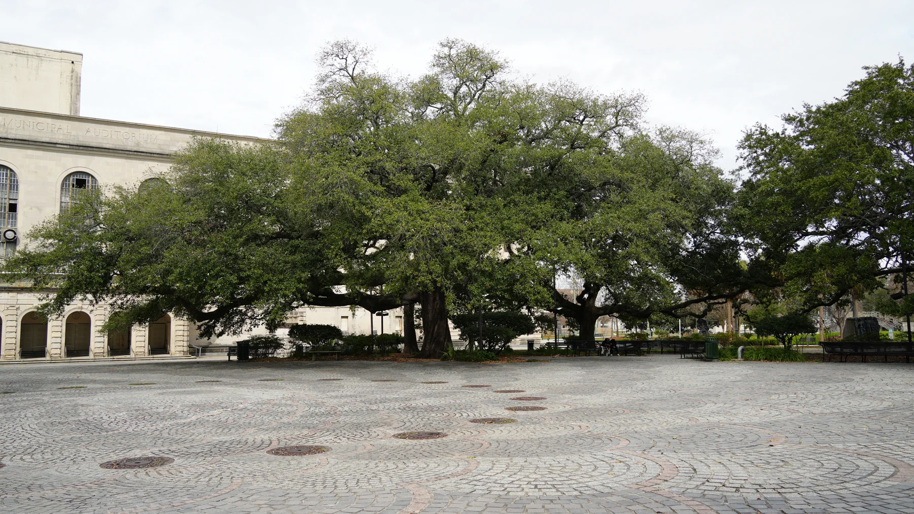 Mature live oaks shade the open paving of Congo Square in Louis Armstrong Park