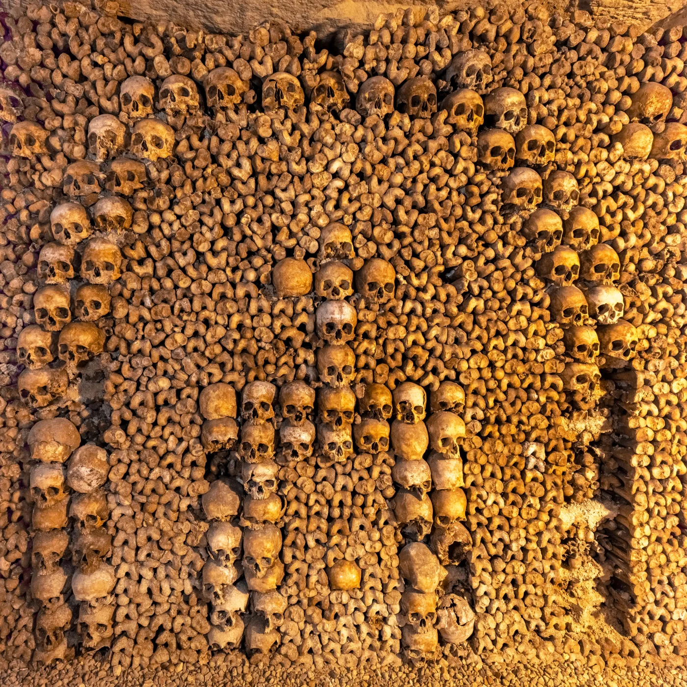 A licensed documentary photograph shows patterned walls of skulls and long bones within the Paris Municipal Ossuary.