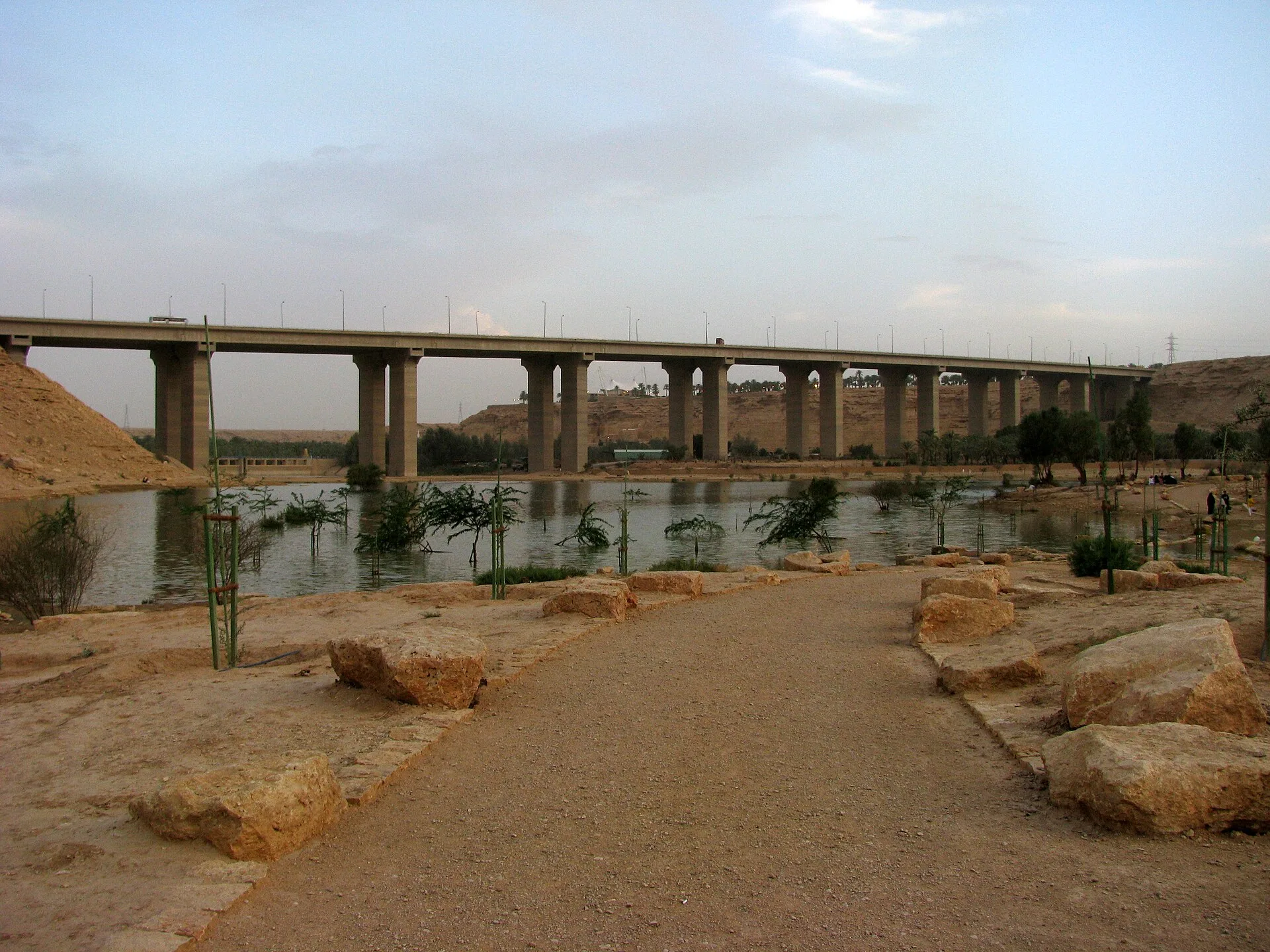 Water, new planting and a road viaduct meet in Wadi Hanifa.