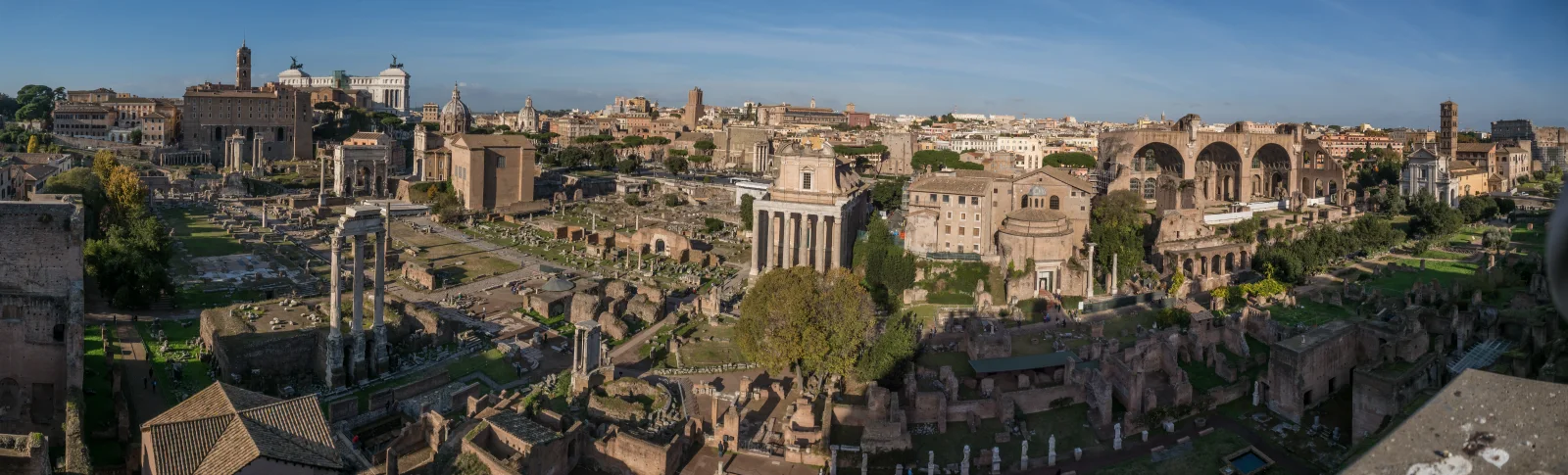 A panorama from the Palatine gathers the Roman Forum's roads, temples, basilicas and later churches.