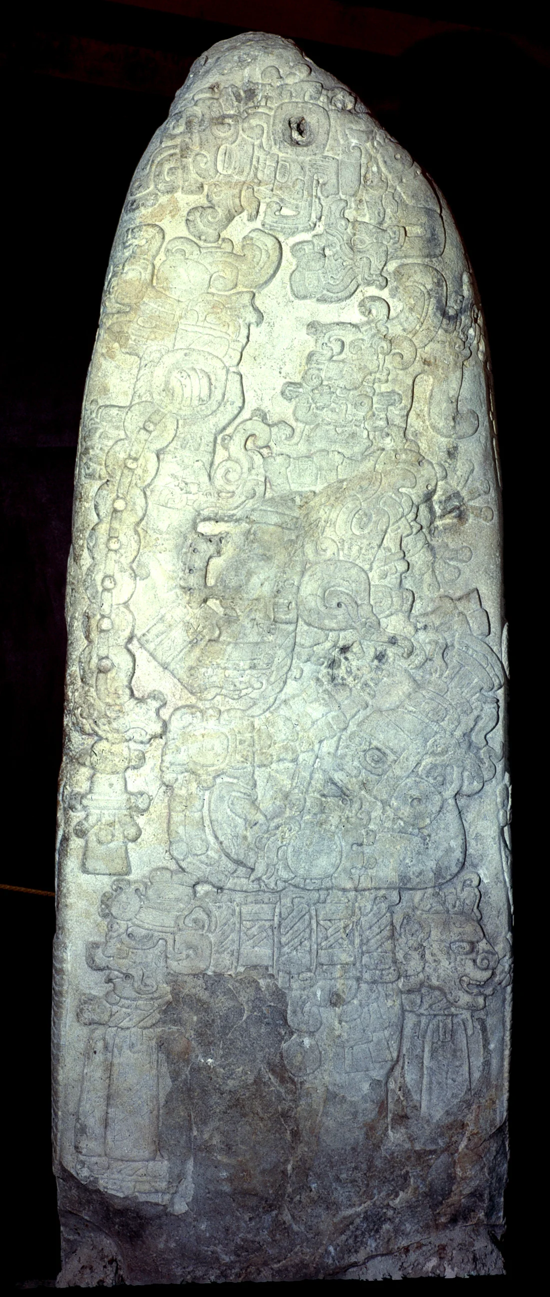 Tikal Stela 31, a tall carved monument whose front presents ruler Siyaj Chan K’awiil II with hieroglyphic text.