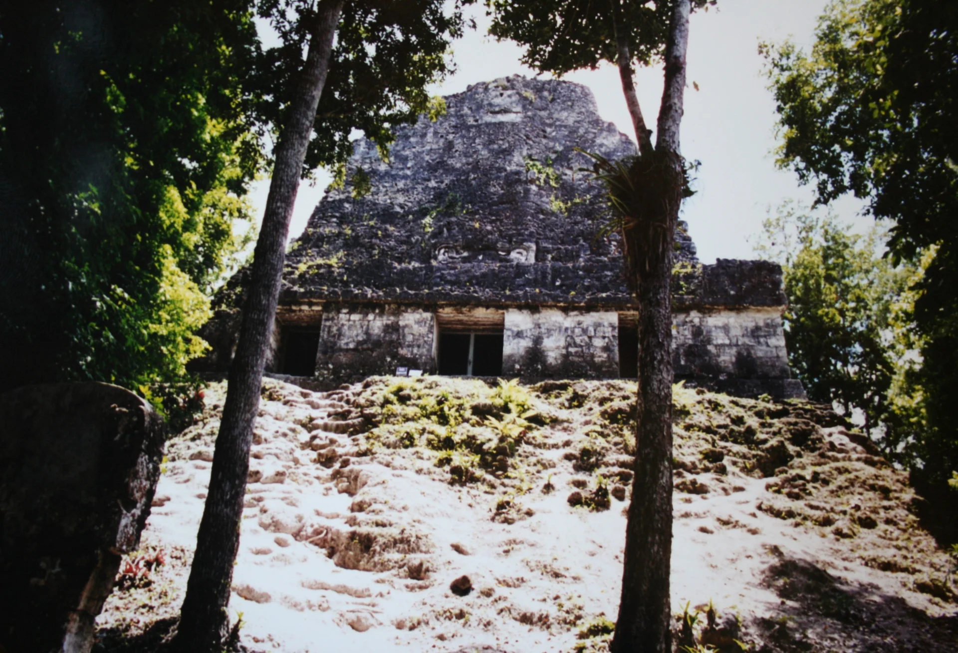 Temple VI shows a broad lower structure and tall roof comb rising at the end of a forest route.