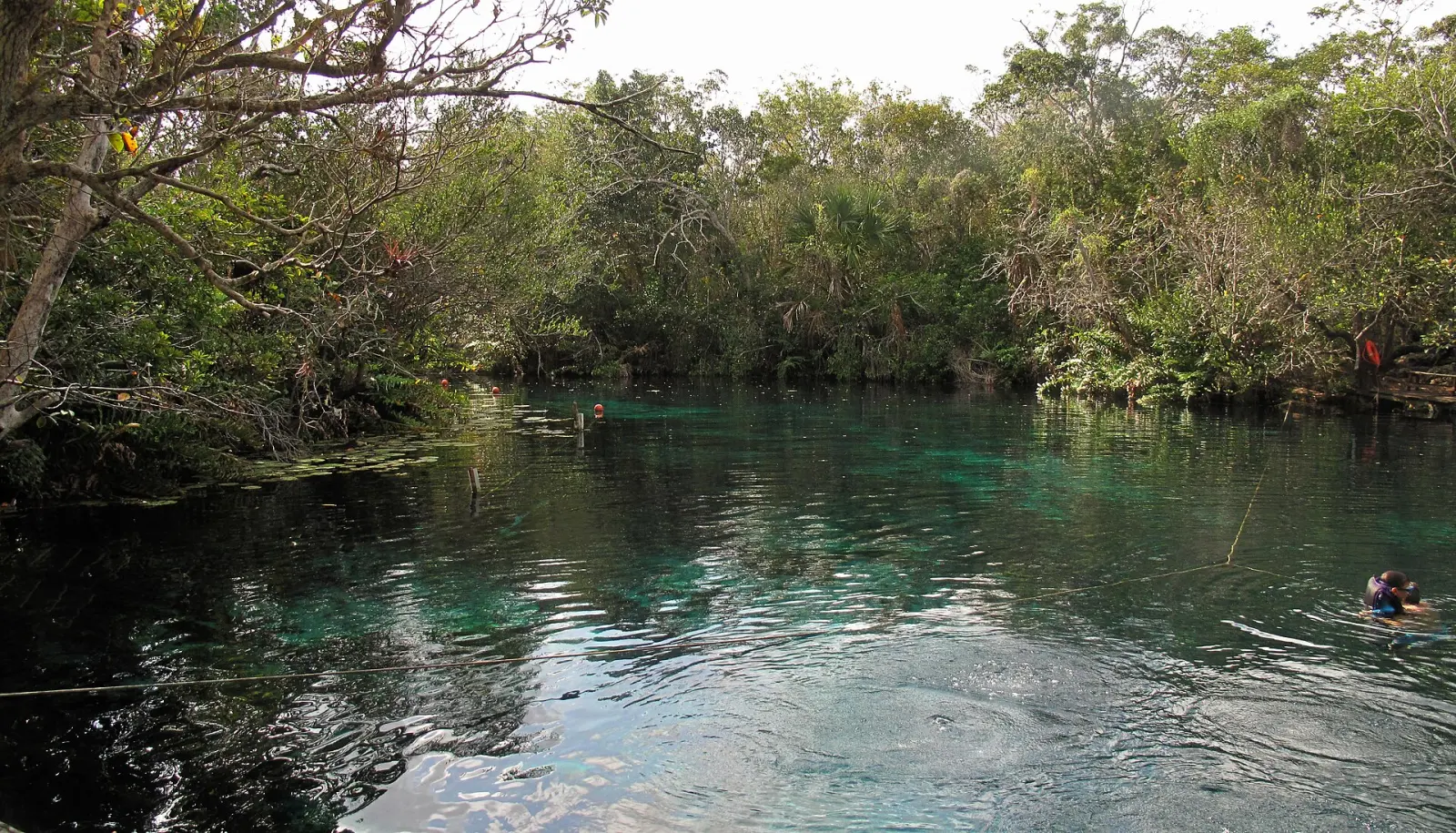 An open cenote west of Tulum shows dark clear-looking water, vegetation, recreation infrastructure and one swimmer.